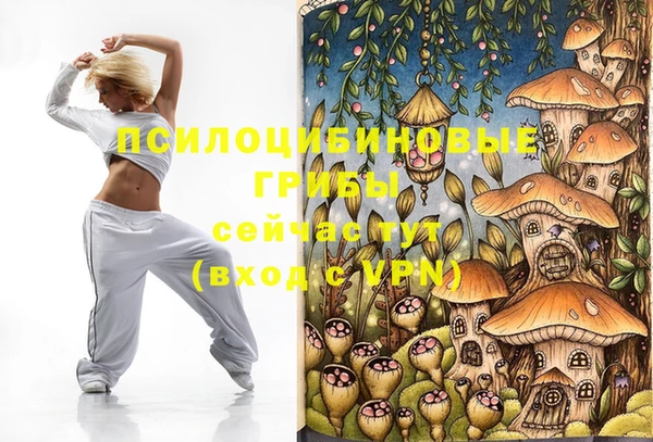 ПСИЛОЦИБИНОВЫЕ ГРИБЫ Алзамай