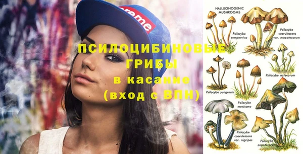 альфа пвп Алексеевка