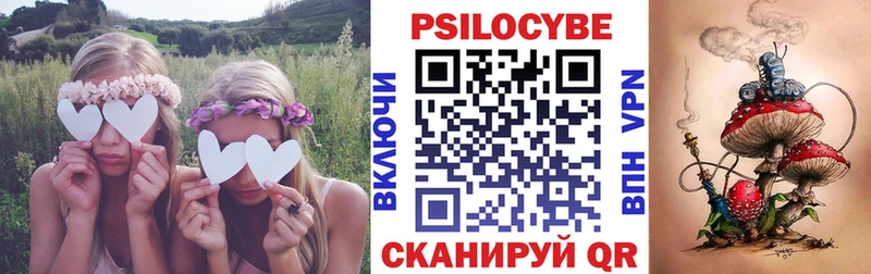 Псилоцибиновые грибы GOLDEN TEACHER  купить наркоту  Пикалёво 